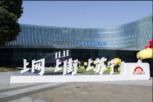 全民嘉年華啟動(dòng) 變與不變 中蘇寧易購(gòu)重新定義 雙十一