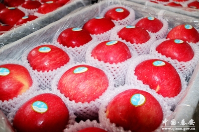 秦安:電子商務成為脫貧攻堅新&ldquo;引擎&rdquo;(圖)